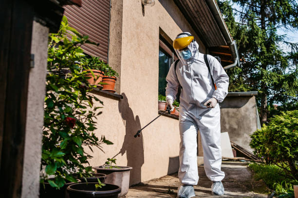 Best Pest Prevention Services  in New Stanton, PA