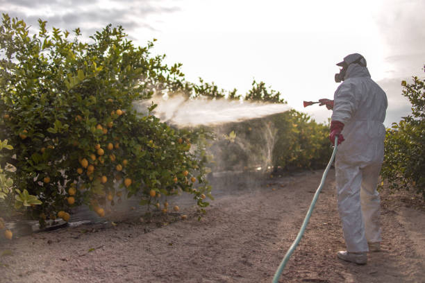 Best Wasp Removal Services  in New Stanton, PA