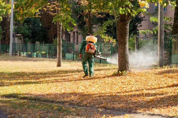 Best Pest Control Near Me in New Stanton, PA