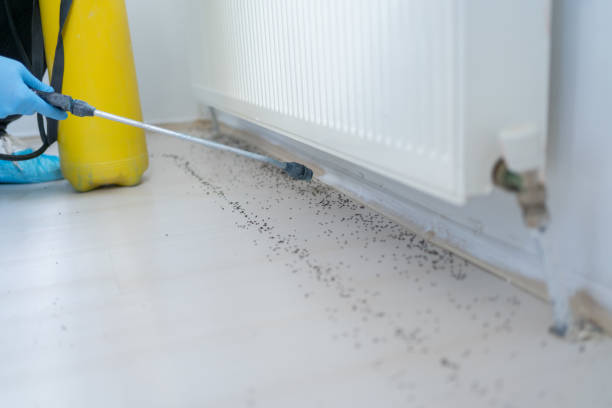 Best Best Pest Control Companies  in New Stanton, PA